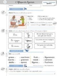 Lecture / Littérature CP et CE1 – L’Afrique de Zigomar (P.3) - Les exercices Zigomar Exercices CE1 | nanihi. Auteur