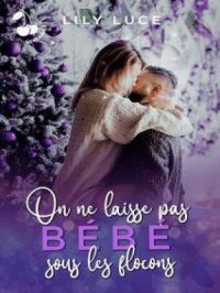 On ne laisse pas bébé sous les flocons | Lily Luce. Auteur