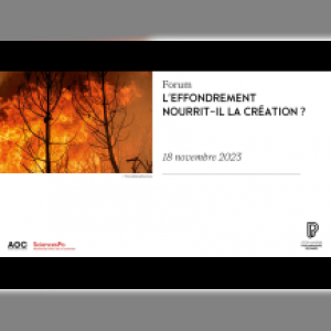 Affiche du document Forum. L'effondrement nourrit-il la création ?