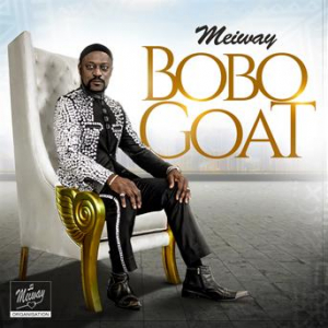 Affiche du document BOBO GOAT