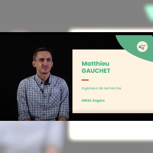 Affiche du document Utilisation des biostimulants