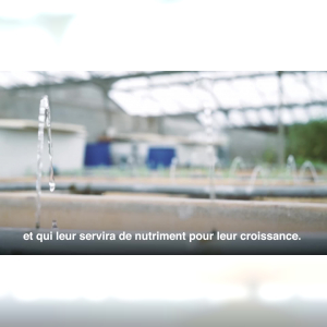 Affiche du document Exemple de Business Model : Nutreets