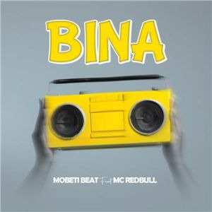Affiche du document Bina