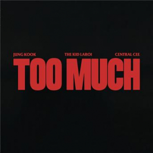 Affiche du document TOO MUCH (Instrumental)