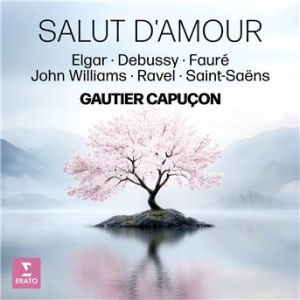 Affiche du document Salut d'amour - Elgar, Debussy, Fauré, John Williams, Ravel, Saint Saëns