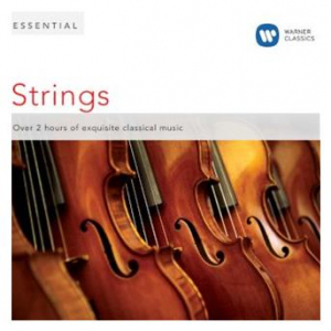 Affiche du document Essential Strings