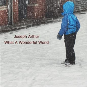 Affiche du document What a Wonderful World