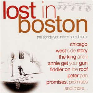 Affiche du document Lost In Boston, Vol. 1