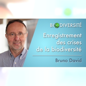 Affiche du document 7. Enregistrement des crises de la biodiversité