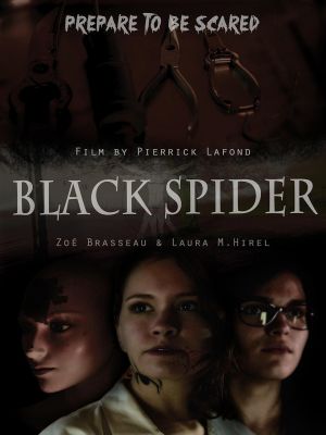 Affiche du document Black spider
