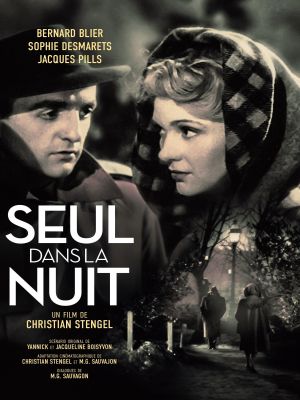 Affiche du document Seul dans la nuit
