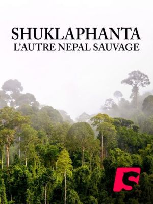 Affiche du document Shuklaphanta, l'autre Népal sauvage