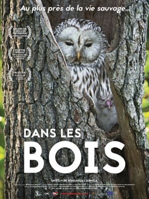 Affiche du document Dans les bois
