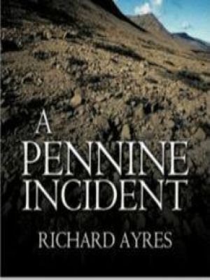 Affiche du document A Pennine Incident
