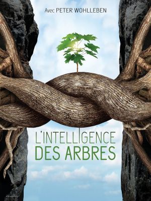 Affiche du document L'intelligence des arbres