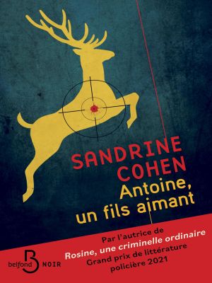 Affiche du document Antoine, un fils aimant - Après Rosine, une criminelle ordinaire, découvrez le nouveau roman de Sandrine Cohen