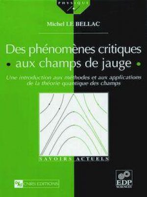 Affiche du document Des phénomènes critiques aux champs de jauge
