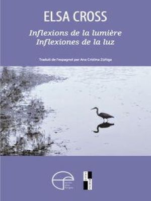 Affiche du document Inflexions de la lumière / Inflexiones de la luz