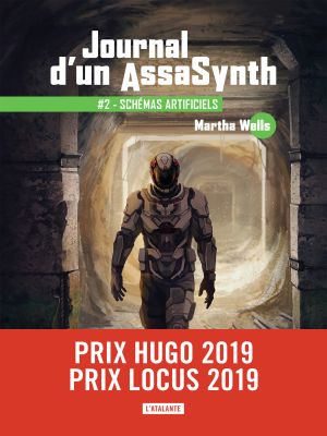 Affiche du document Schémas artificiels