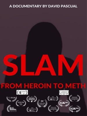 Affiche du document Slam