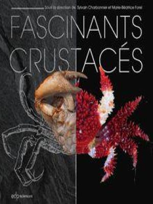 Affiche du document Fascinants crustacés