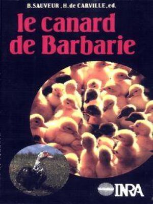 Affiche du document Le canard de barbarie