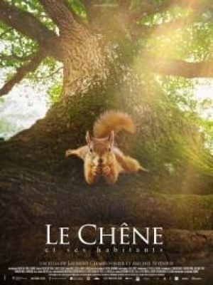 Affiche du document Le Chêne
