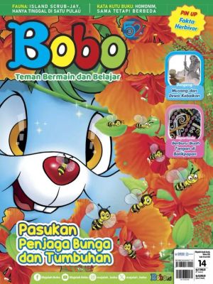 Affiche du document Bobo