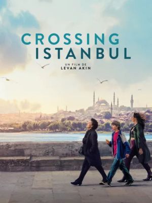 Affiche du document Crossing Istanbul
