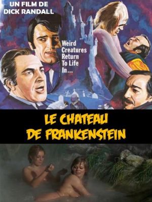 Affiche du document Le château de Frankenstein (VF)