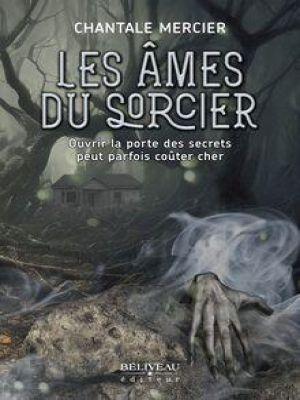 Affiche du document Les âmes du sorcier : Ouvrir la porte des secrets peut parfois coûter cher