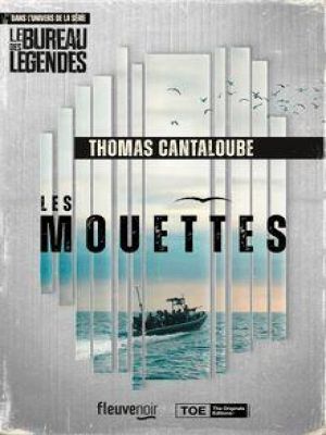Affiche du document Les Mouettes - Mission Sahel