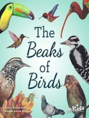 Affiche du document The Beaks of Birds