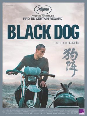 Affiche du document Black dog