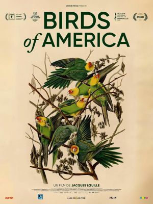 Affiche du document Birds of America