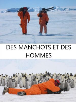 Affiche du document Des manchots et des hommes