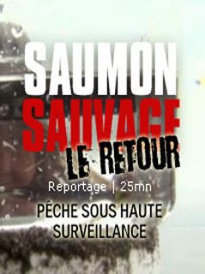 Affiche du document Saumon sauvage du Pacifique - Le retour