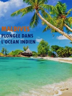 Affiche du document Maldives - Plongée dans l'océan Indien