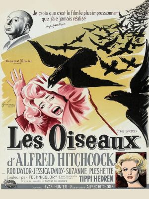 Affiche du document Les oiseaux
