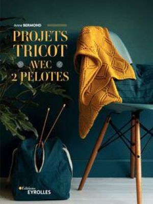 Affiche du document Projets tricot avec 2 pelotes