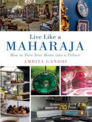 Affiche du document Live Like a Maharaja