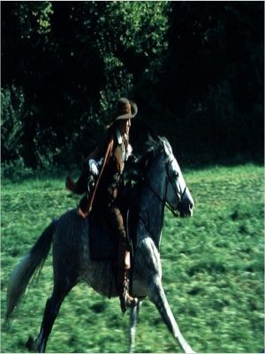 Affiche du document D'Artagnan