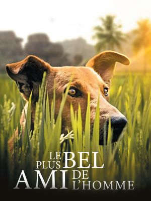 Affiche du document Le plus bel ami de l'homme