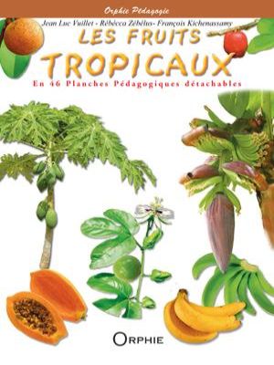 Affiche du document Les fruits tropicaux : En 46 planches pédagogiques détachables