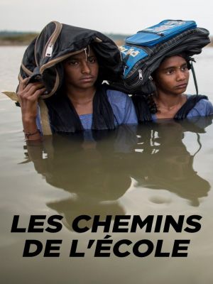 Affiche du document Les chemins de l'école - la série