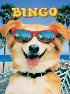 Affiche du document Bingo