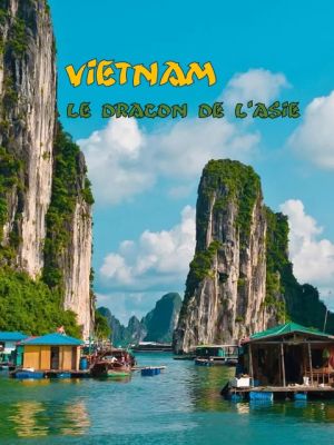Affiche du document Vietnam, le dragon de l'Asie
