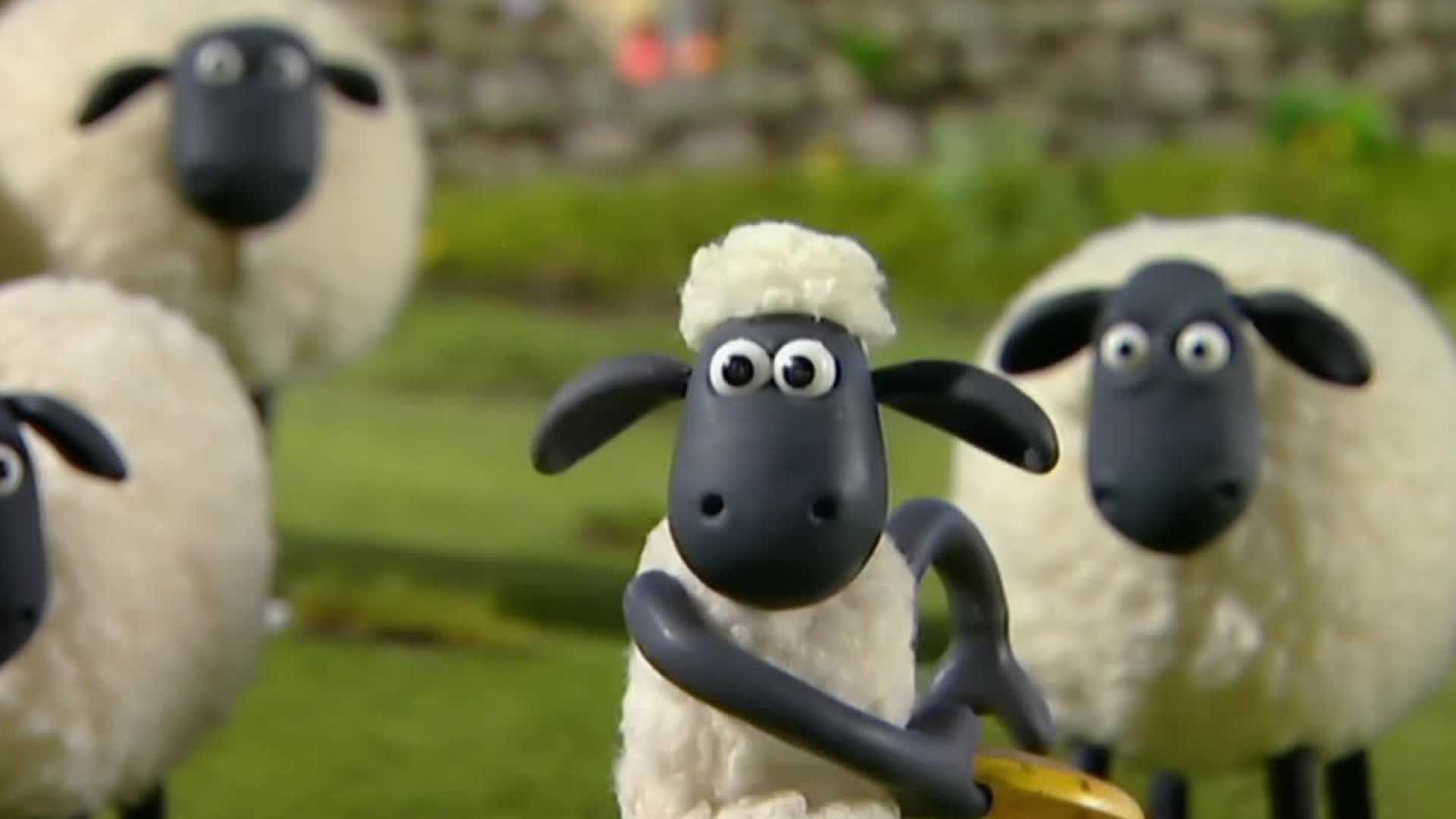 Affiche du document Shaun le mouton - saison 1 : Va chercher ! (épisode 2)