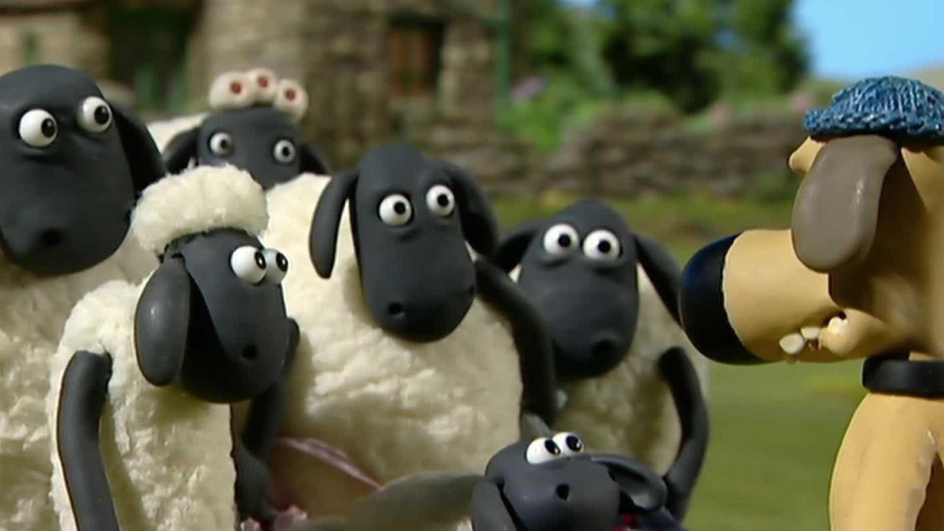 Affiche du document Shaun le mouton - saison 1 : La grande lessive (épisode 24)