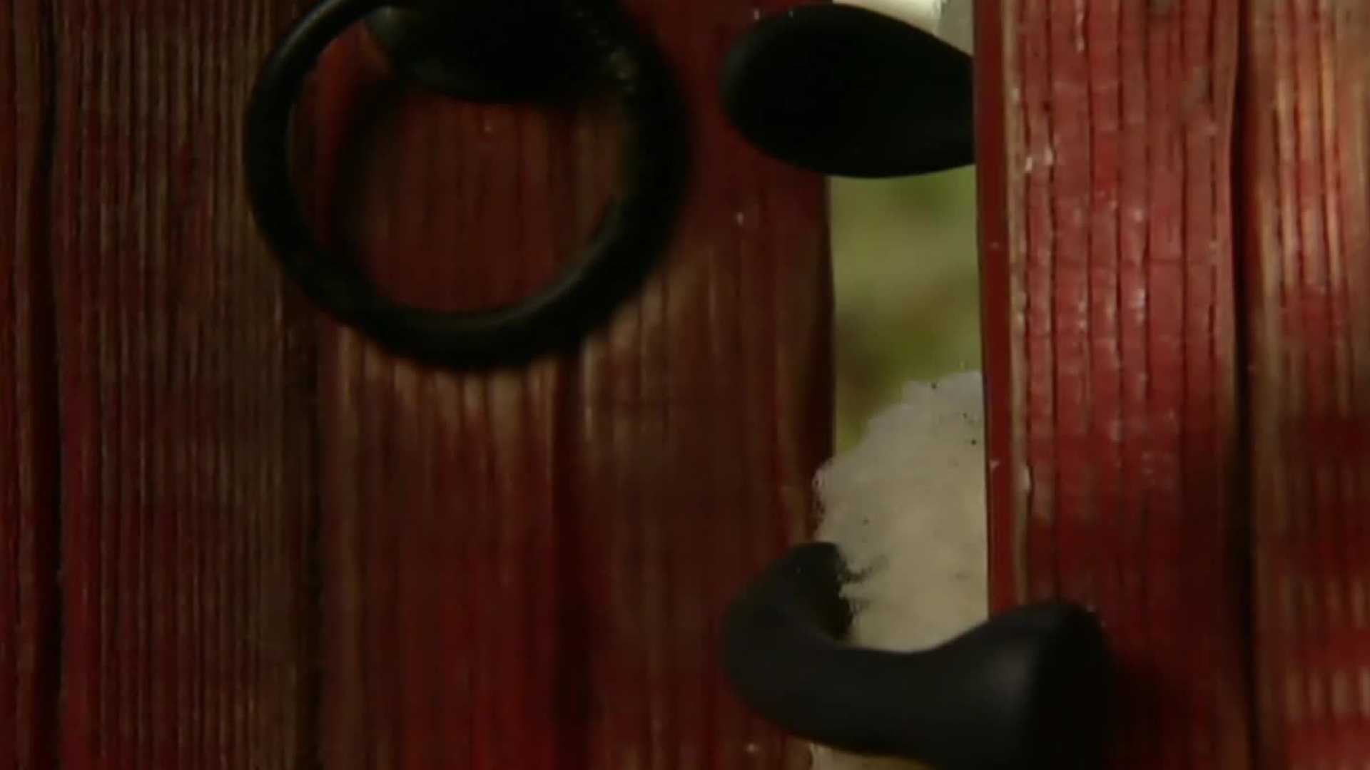 Affiche du document Shaun le mouton - saison 1 : Moutons mécaniciens (épisode 25)